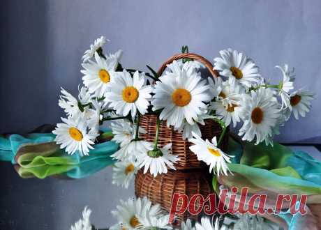 (5) Одноклассники