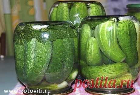 ОЧЕНЬ,ОЧЕНЬ ВКУСНЫЕ ОГУРЧИКИ))))) (Всем советую)))))

на 1 литр воды:
4 ст.л. сахара (без горки!!)
1 ст.л. соли (с горкой!!)
Показать полностью…