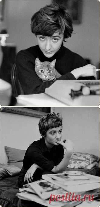 Всё о женщинах