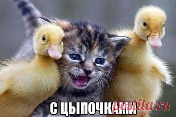 Мамаааа!!!