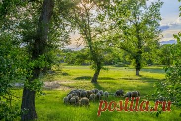 ФотоЛюбка * – ФотоКто