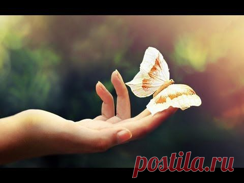 Как похудеть-Настрой на стройную фигуру Н.Г. Сытин — Сытин Г.Н. — видео