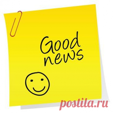 Родные наши! Немножко хороших новостей! Сегодня мы решили передать оставшуюся часть от пересбора Андрюши Ярославского нашей Сашеньке! Это сумма в размере 3 415 евро и 4 630 руб. Через несколько минут мы пересчитаем остаток к сбору. Надеемся, что с вашей помощью мы справимся, успеем собрать недостающие средства и Сашенька наконец-то получит тот шанс которого ждет вот уже второй год!