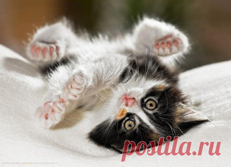 Неожиданность