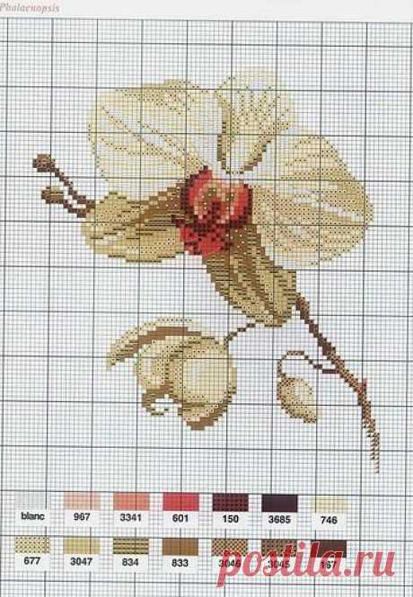Pinterest • Всемирный каталог идей