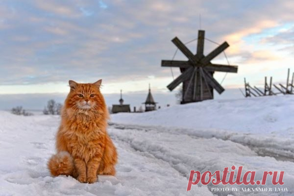 Мой Мир@Mail.Ru