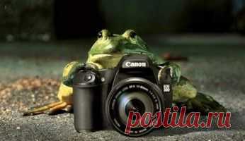 Иллюстратор фэнтези Яцек Йерка превращает дома в живые существа