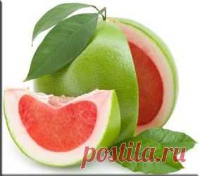 Помело (Citrus grandis). Описание, виды и выращивание помело | Флористика на "Добро ЕСТЬ!"