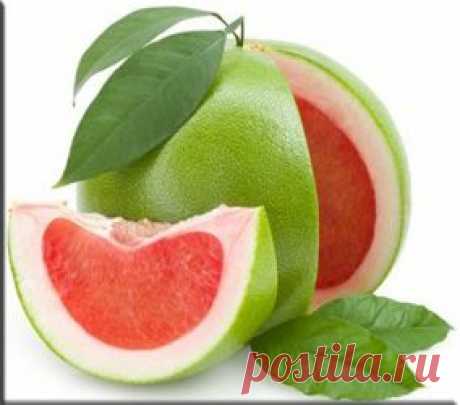 Помело (Citrus grandis). Описание, виды и выращивание помело | Флористика на &quot;Добро ЕСТЬ!&quot;