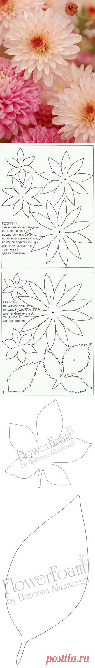 Выкройки цветов и листьев (фоамиран)