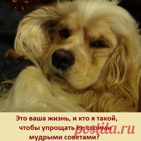 Мировые секреты | Яндекс Дзен