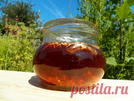 Самый мощный желчегонный настой, очищающий печень | Быстрые рецепты Живое питание | Яндекс Дзен