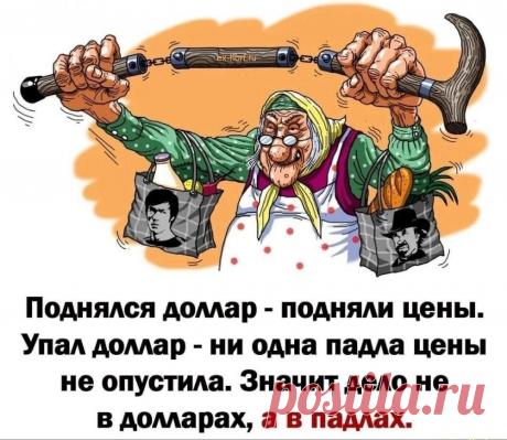 Только смешные фото из жизни людей и других животных