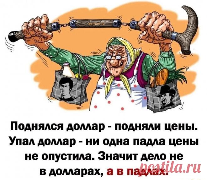 Только смешные фото из жизни людей и других животных