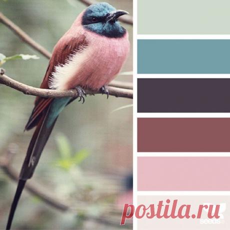 Природная палитра / Тенденции / ВТОРАЯ УЛИЦА