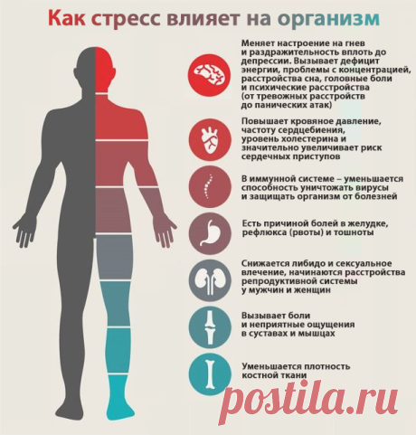 Как стресс влияет на организм