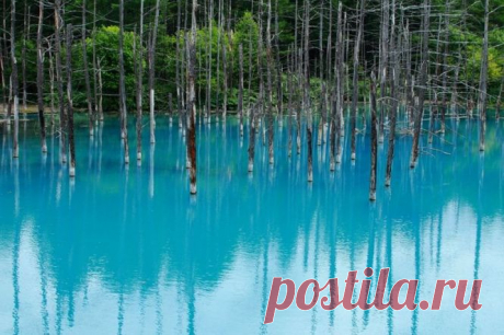 Голубой пруд (Blue Pond), Хоккайдо, Япония | Города и страны