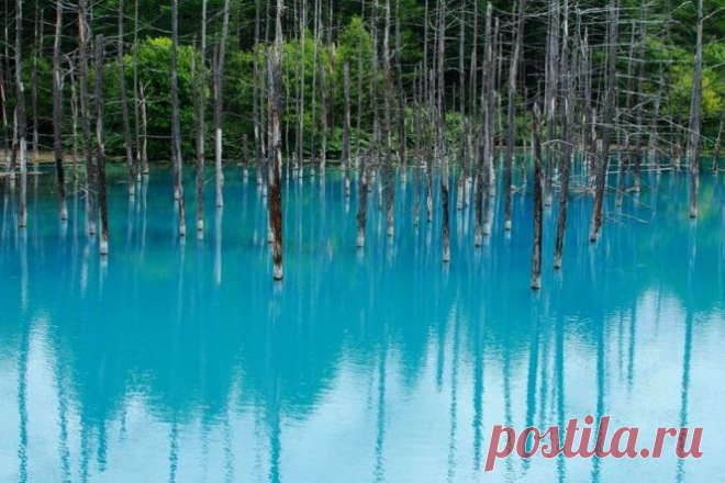Голубой пруд (Blue Pond), Хоккайдо, Япония | Города и страны