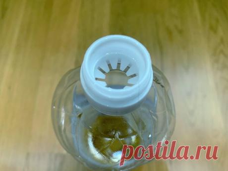 «Не выбрасывай колечко от подсолнечного масла» — настояла тёща и показала как его применить в быту (жена в восторге)
Сегодня я расскажу вам очередной кухонный лайфхак от моей тёщи. Всем привет! Признаюсь, отношения у нас с тещей далеко не самые радужные. Мы регулярно ругаемся и ссоримся. Причем, совсем на пустом месте. Но всё-таки, бывают у нас периоды, когда дружелюбие берёт верх. Думаю, и у вас...
Читай дальше на сайте. Жми подробнее ➡