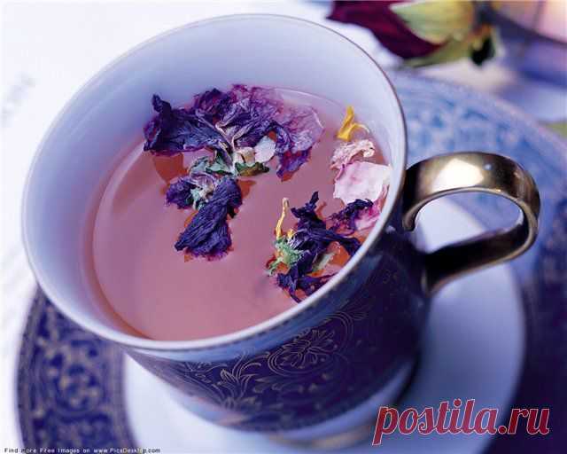 чайная тема... » Красивые тематические подборки » Прогулки по Галереям » Cinema-Мир[Форум]