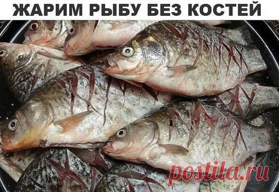 (99) Одноклассники