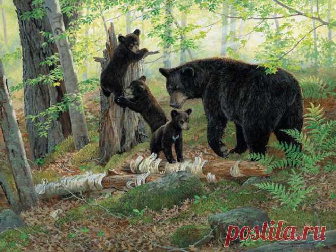 Художник Persis Clayton Weirs.