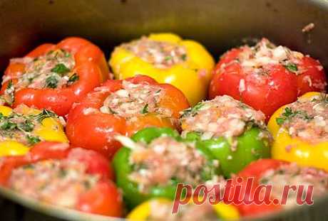 Фаршированный перец / Блюда из перцев / TVCook: пошаговые рецепты c фото