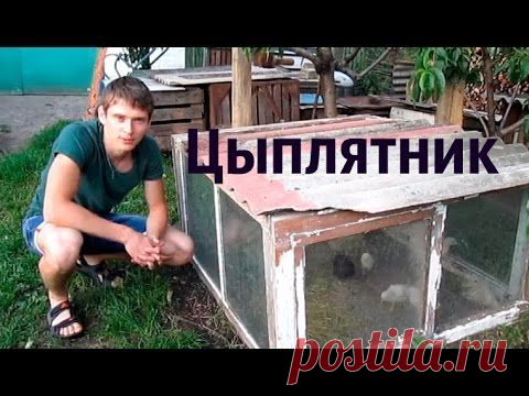 Цыплятник из оконных рам своими руками.