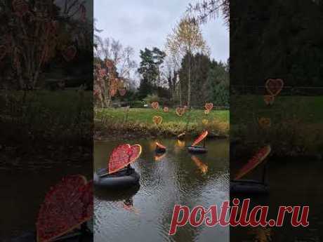 Botanischer Garten Klein Flottbek Hamburg 2024 #hamburg #europe #travel #nature