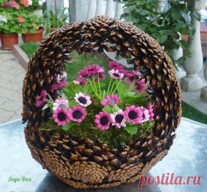 (23) Одноклассники