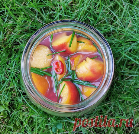 Кимчи из персиков на воде 복숭아물김치: food_it — ЖЖ