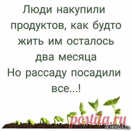 Давайте отвлечемся от грустных мыслей: Дневник пользователя валоба