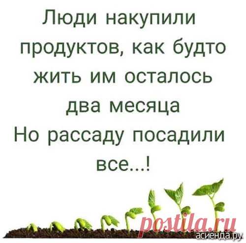 Давайте отвлечемся от грустных мыслей: Дневник пользователя валоба