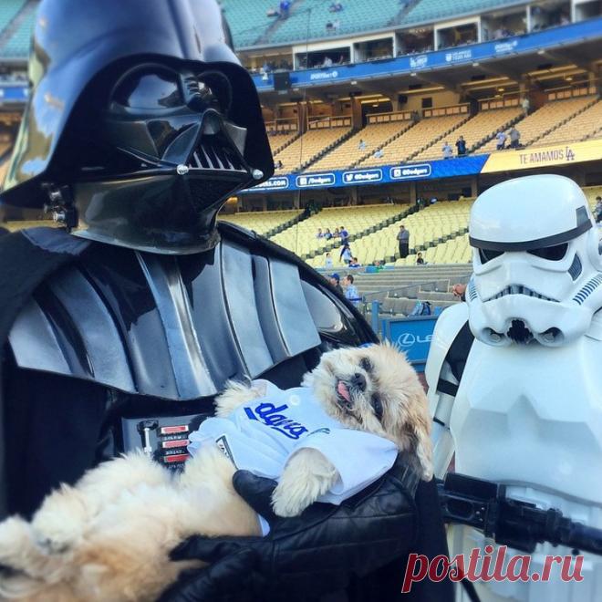 Собака Марни, которая живет насыщенной жизнью!