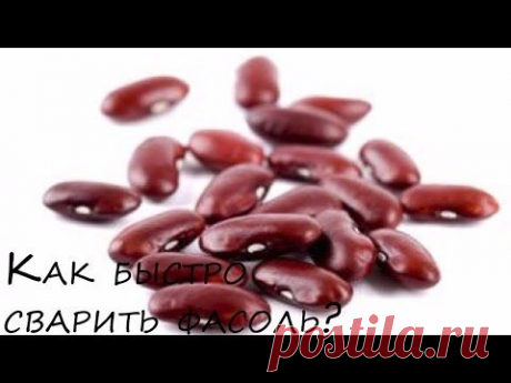 Как быстро сварить фасоль
