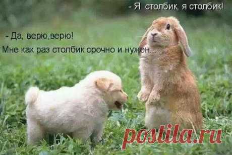 Одноклассники