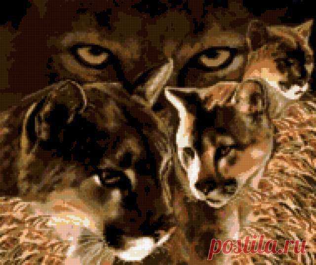 Предпросмотр - Схема вышивки &laquo;Взгляд пумы&raquo; - Схемы автора &laquo;DAV-09&raquo; - Вышивка крестом