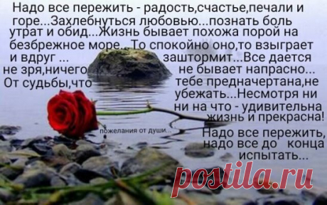 Если с утра ты обнимаешь не подушку. 
 И снов приятных на ночь есть кому желать. 
 И кофе - две с утра завариваешь кружки - 
 Ты в жизни все нашел, осталось лишь не потерять!