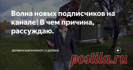 Волна новых подписчиков на канале! В чем причина, рассуждаю.