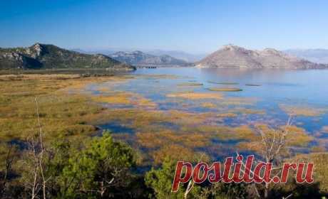 Momir Matkovic - Momir Matkovics Fotos | Facebook
