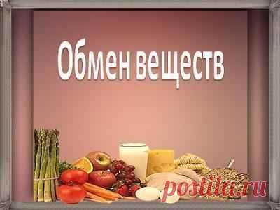 Основной обмен. Он же метаболизм. Включает в себя все, что происходит внутри вашего тела, для сохранения и укрепления всех видов ткани, а так же для производительности энергии и обеспечения нашего здоровья. Основной обмен включает в себя только ту энергию, которая нам необходима для поддержания нашей жизнедеятельности. Это не включает в