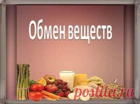 Основной обмен. Он же метаболизм. Включает в себя все, что происходит внутри вашего тела, для сохранения и укрепления всех видов ткани, а так же для производительности энергии и обеспечения нашего здоровья. Основной обмен включает в себя только ту энергию, которая нам необходима для поддержания нашей жизнедеятельности. Это не включает в