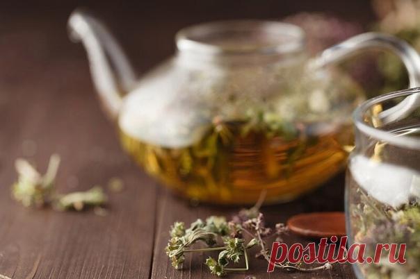 ПОЛЕЗНО ЗНАТЬ!

Задержка воды в жировой ткани часто приводит к целлюлиту, лишнему весу и отекам. При этом обменные процессы замедляются, а эффективность диет резко уменьшается. В такой ситуации поможет дренаж жировой ткани. Это выведение лишней жидкости из организма, вследствие чего, сжигание жира будет проходить более интенсивно.

В домашних условиях помогут дренажные напитки. Действуют они в трех направлениях: тонизируют, дренируют, сжигают жиры.

Рецепт № 1

2 ст.л. изм...