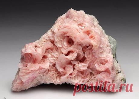 Елена Казанцева