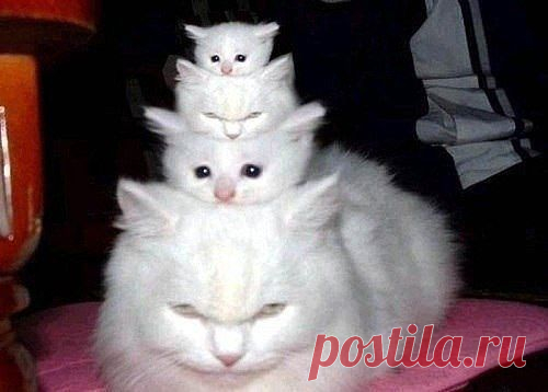 Семья. Дети. Добро.
