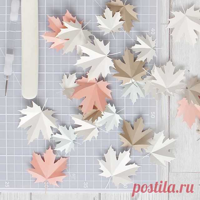 🍁🍂 Autumn is my favourite!