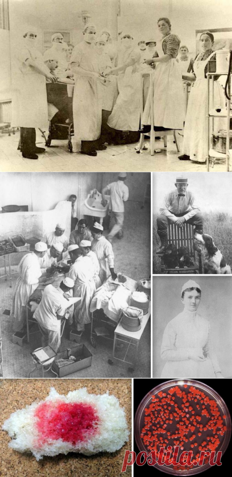 Вот оно как..1 марта - день маски.
1 марта 1897 года всемирно известный хирург Ян Микулич-Радецкий сделал первую операцию в перчатках и маске. ...   | МУЗА НАШЕГО ДВОРА