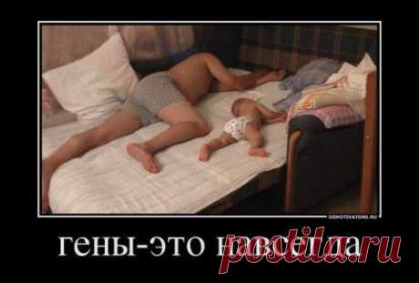 Клёвые родители и дети