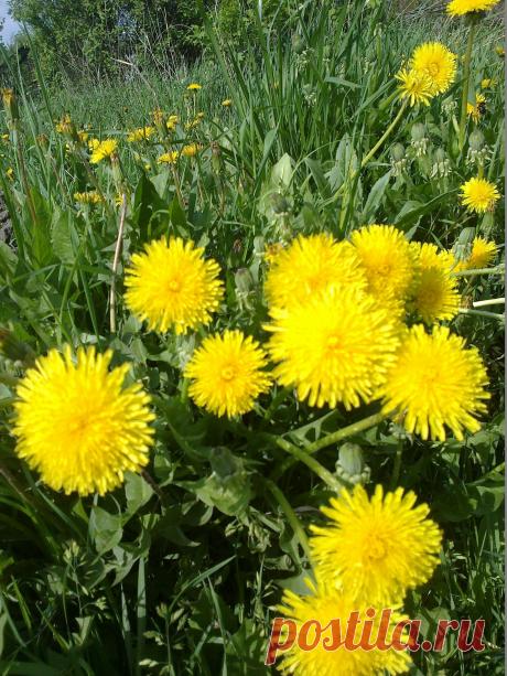 весеннее настроение