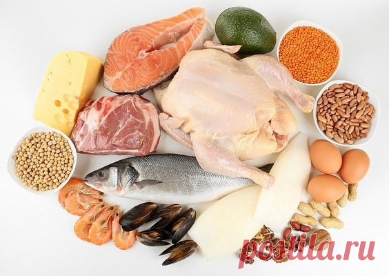 Какие продукты содержат белок в большом количестве. Список и таблица
